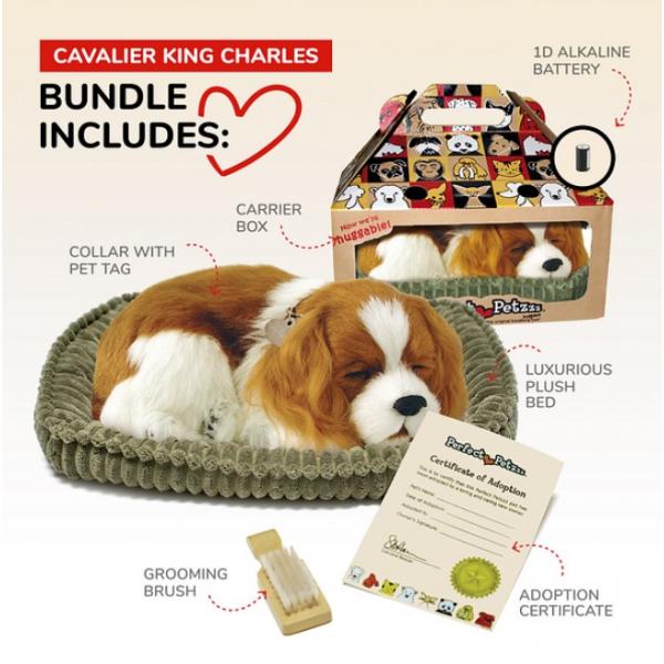 Perfect Petzzz - Soft Cavalier King Charles